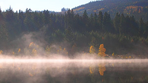 Herbststimmung